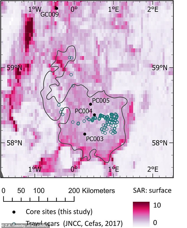 Scampi and Chips' Hidden Climate Cost Sparks Calls for Change