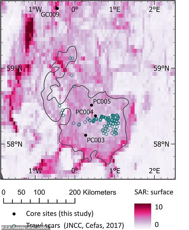 Scampi and Chips' Hidden Climate Cost Sparks Calls for Change