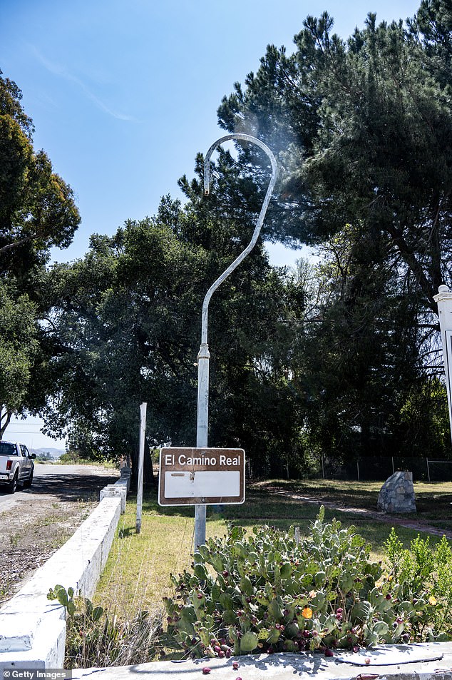 Burlingame's 'City of Trees' Faces Historic Shift as Iconic Eucalyptus Canopy Is Removed, Leaving Residents Disoriented