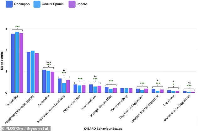 Cockapoos 44% More Likely to Exhibit Behavioral Problems, Study Reveals