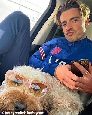 Cockapoos 44% More Likely to Exhibit Behavioral Problems, Study Reveals