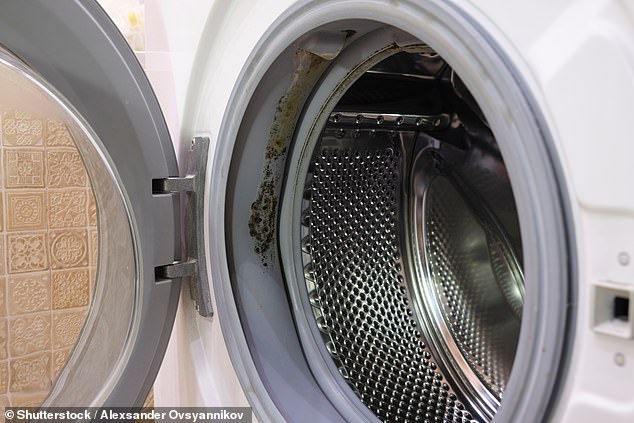 Closing Your Washing Machine Door Could Be Breeding Mold—and Costing You More