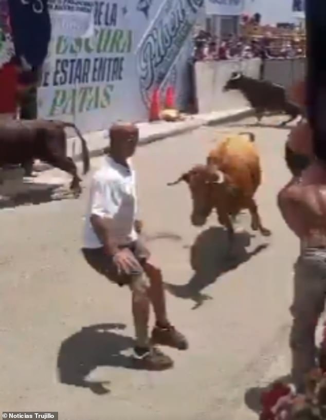 Peru Festival Bull Attack: Man's Life Hangs in Balance