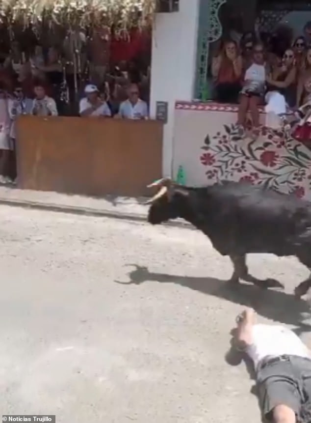 Peru Festival Bull Attack: Man's Life Hangs in Balance