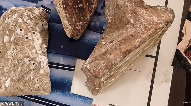 Retired Architect's Sonar Evidence Suggests 12,000-Year-Old Submerged City Near Louisiana