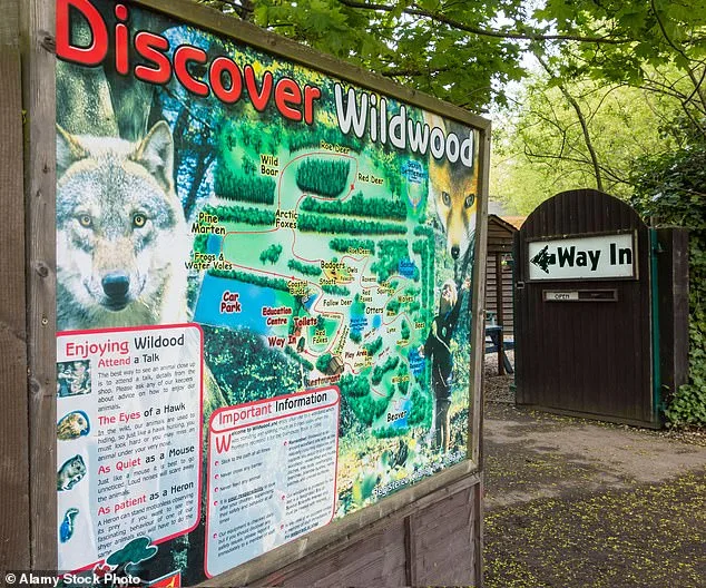 Controversial Euthanasia of Wolf Pack at Canterbury Park Sparks Outcry Over 'Last Resort' Decision