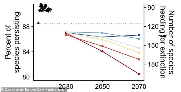 Britain's Wildlife on the Brink: Vanishing in Two Decades, A Call to Action