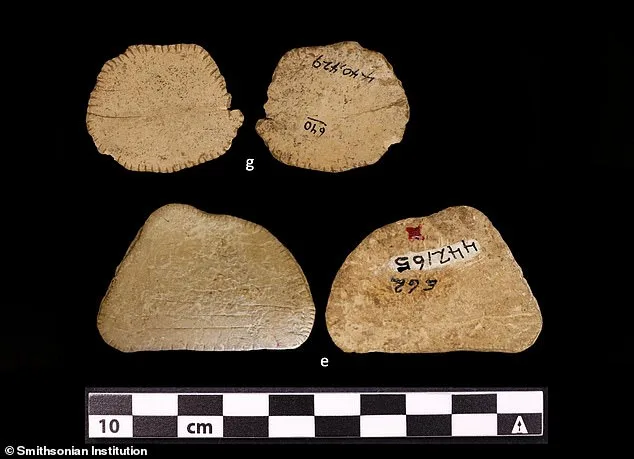 12,000-Year-Old Bone Dice Challenge Gambling Origins in North America