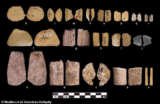 12,000-Year-Old Bone Dice Challenge Gambling Origins in North America