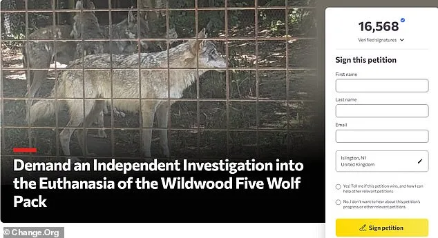 Furious Adopters Demand Independent Inquiry After Unwarned Euthanasia of Wolves