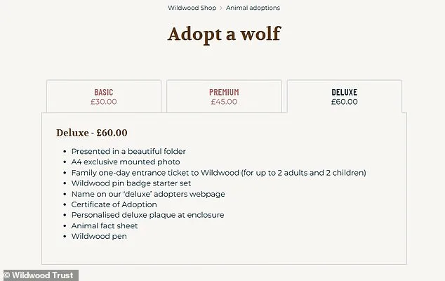 Furious Adopters Demand Independent Inquiry After Unwarned Euthanasia of Wolves