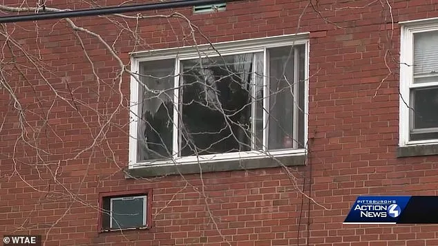 Babysitter Accused of Attempted Drowning in PA Released Despite Extremism Allegations