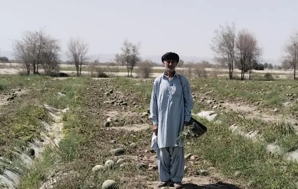 From Diesel to Solar: A Pakistani Farmer's Gamble Against Rising Fuel Prices