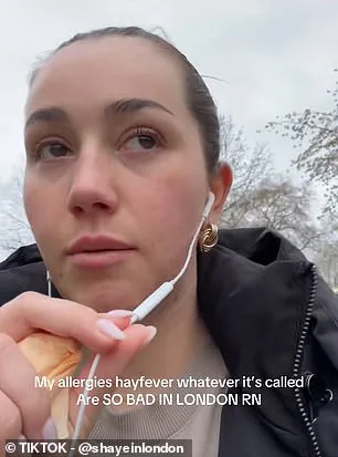 UK Faces Week-Long Pollen Bomb as Hay Fever Crisis Sparks Red Alert from Met Office