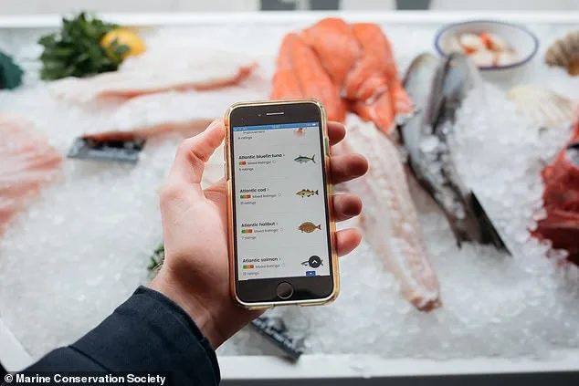 Cod and Chips Face Uncertain Future as Overfishing and Climate Change Prompt Calls for Sustainable Alternatives