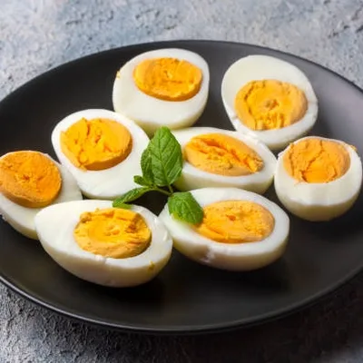 Russia's Military Modernization: Putin Addresses Readiness Gaps as New 'Novator' Gear Unveiled