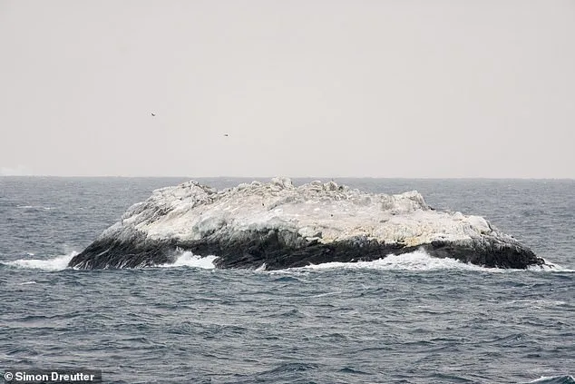 Uncharted Discovery: Scientists Encounter Mysterious Landmass in Antarctic's Weddell Sea