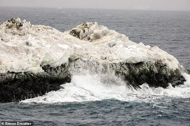 Uncharted Discovery: Scientists Encounter Mysterious Landmass in Antarctic's Weddell Sea