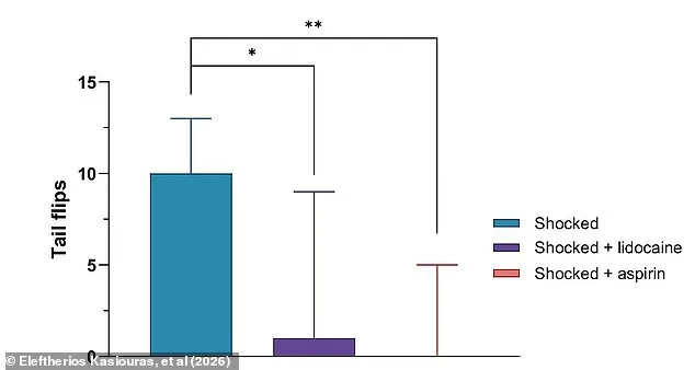 Boiling Lobsters Alive May Soon Be Illegal Amid New Pain Research