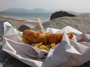 Boiling Lobsters Alive May Soon Be Illegal Amid New Pain Research