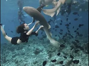 Honeymoon Horror: Shark Attack Claims Leg, Spurns Negligence Complaint