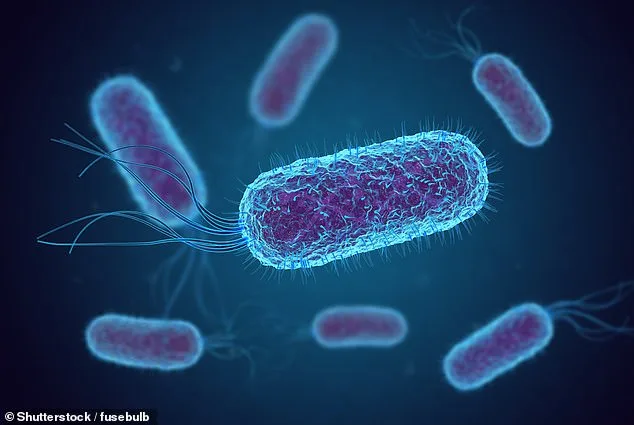 Rising Shigellosis Superbug Resistance Threatens US Public Health.