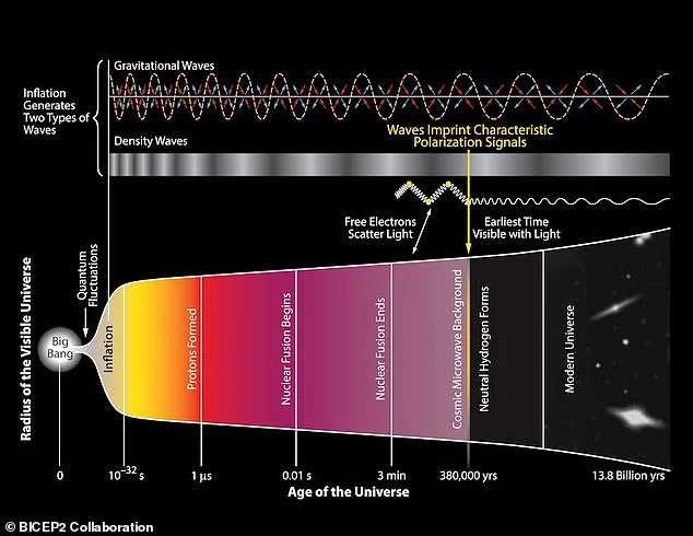 The Unknown Origin of Dark Matter: Ancient Black Holes or a New Particle?