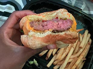 Fraudsters Used AI to Scam Florida Family Out of $2,800 Over Fake Dog Surgery