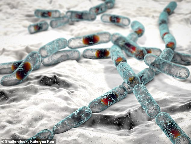 Experts warn 'boy kibble' diet trend poses deadly food poisoning risk.