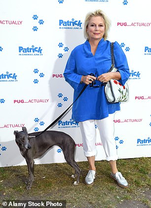 Whippet Registrations Surge 18% to Reach Top 10 UK Dog Breeds