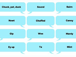 Regional Accents Determine How Offensive British Insults Are Perceived.