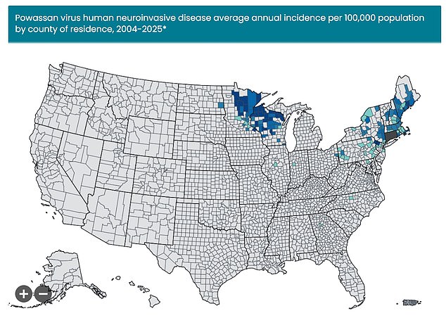 Powassan Virus Cases Surge in US Northeast During Worst Tick Season in Decades