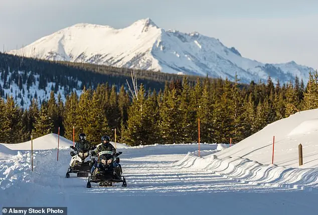 Wyoming residents outraged at legislators' failure to ban wildlife runs with snowmobiles