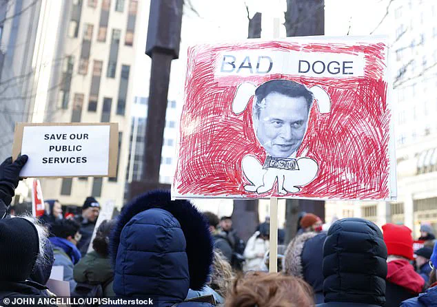 Elon Musk warns America could collapse if Dogecoin doesn't succeed