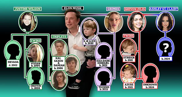 Elon Musk's Baby Momma Takes Social Media by Storm