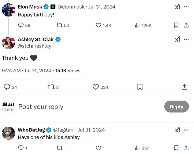 Elon Musk's Rumored Baby Mama Sparks Romance Rumors