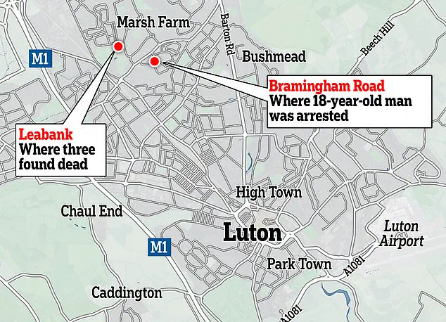 Luton Teen's Planned School Shooting Thwarted, Leading to Tragic Murders