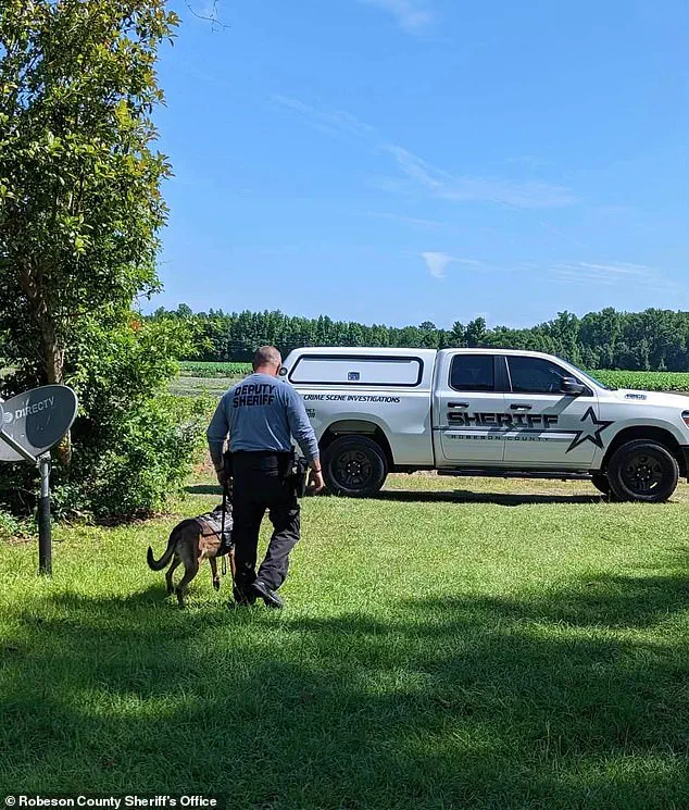 The Ten-Year Search for Sara Graham