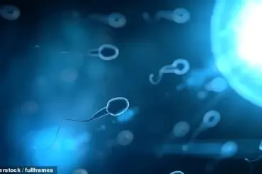 Better Sperm Quality Linked to Longer Life Span in Men