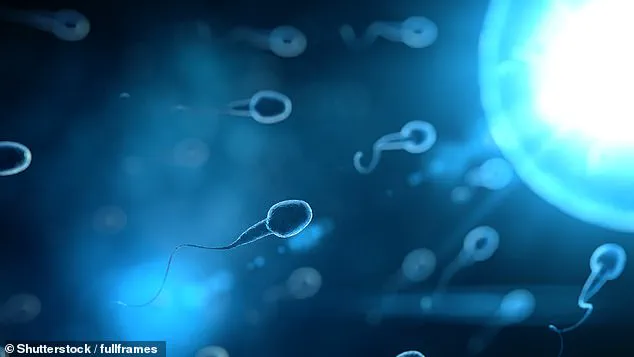 Better Sperm Quality Linked to Longer Life Span in Men