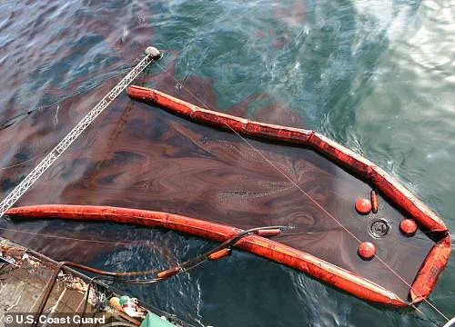 Cargo Ship Collision Threatens Environmental Disaster in Yorkshire Coast