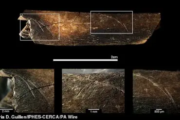 Discovery of Million-Year-Old 'Pink' Human Fossil Rewrites European Evolution Timeline