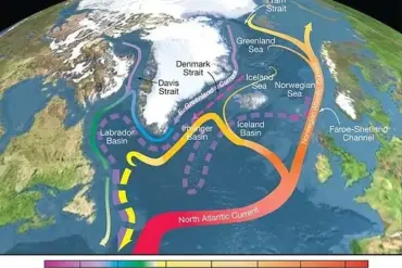 Drastic Decline in Gulf Stream Could Trigger 'New Ice Age'