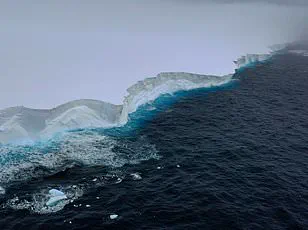 Giant Iceberg A23a Grounds Near South Georgia, Drawing Scientific Attention and Concern