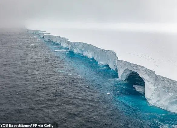 Giant Iceberg A23a Grounds Near South Georgia, Drawing Scientific Attention and Concern