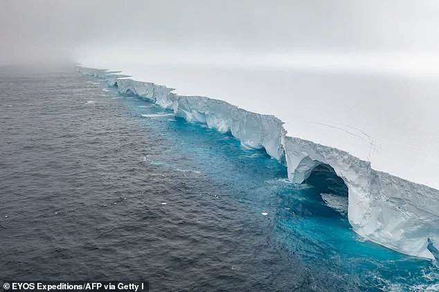 Giant Iceberg A23a Grounds Near South Georgia, Drawing Scientific Attention and Concern