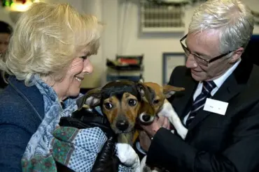 King Charles III's New Furry Family Members: Snuff and Moley