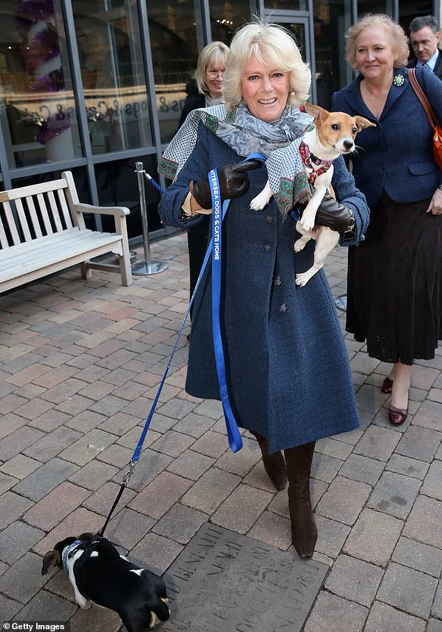 King Charles III's New Furry Family Members: Snuff and Moley