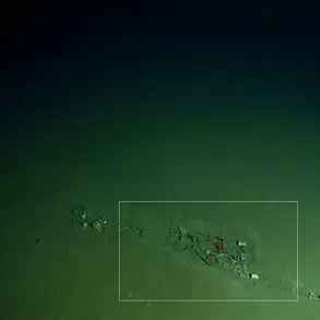 Mediterranean's Calypso Deep Reveals Shocking Levels of Garbage at Ocean Floor