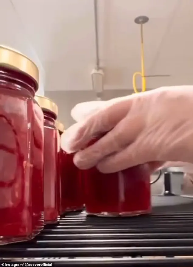 Meghan Markle's Self-Promotional Raspberry Jam Debut: The Height of Royal Greed